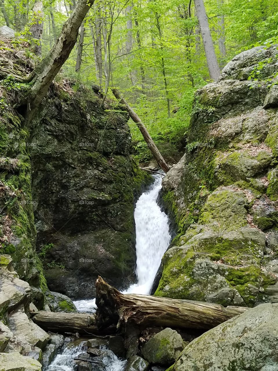 scenic beauty and waterfall