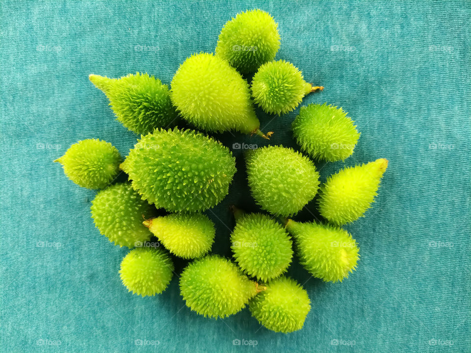 Fresh Healthy green spiny gourd in the clothe