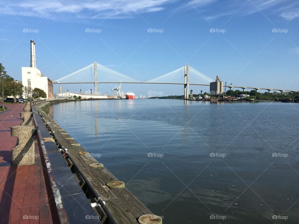 Savannah Skyline