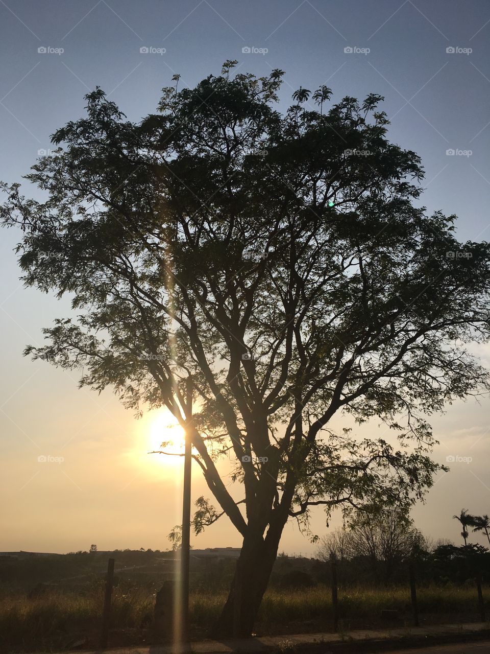 🌅Desperta, #Jundiaí!
Ótima 6a feira a todos.
🍃
#sol
#sun
#sky
#céu
#photo
#nature
#manhã
#morning
#alvorada
#natureza
#horizonte
#fotografia
#paisagem
#inspiração
#amanhecer
#mobgraphy
#FotografeiEmJundiaí