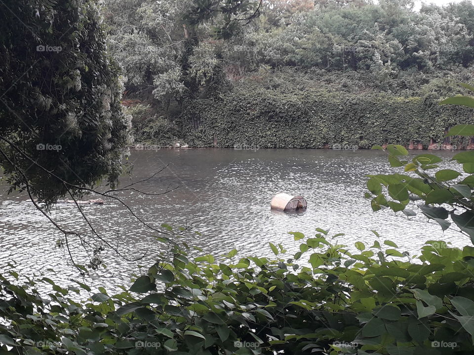 forsaken tent improbable unlikely water strange dirty floating camping tree