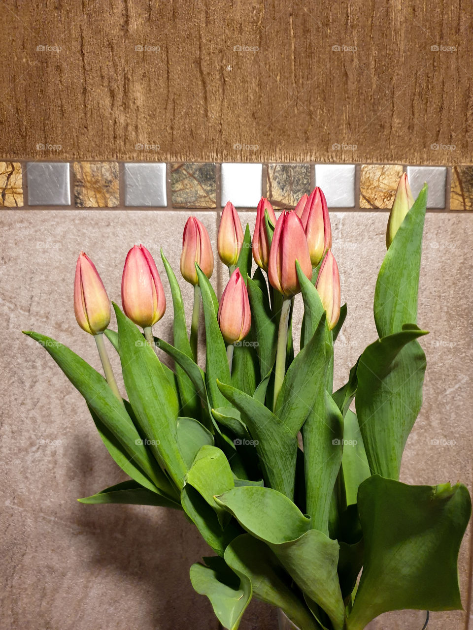 Tulips