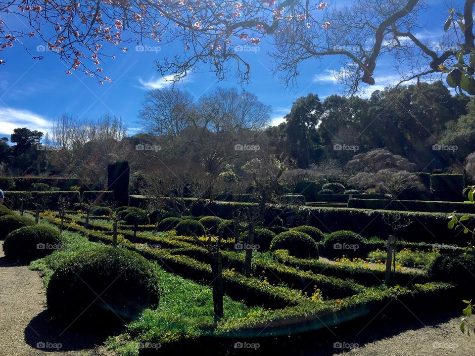Outdoor garden at Filoli House and Gardens in Woodside, California.