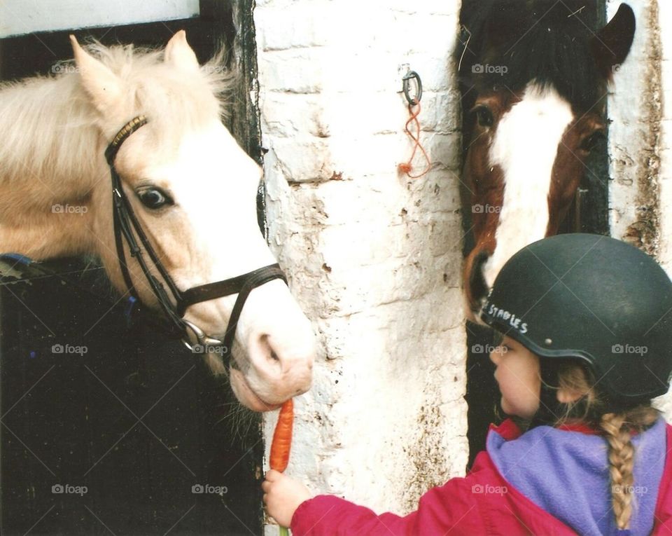 Girl feeding carrot to a horse