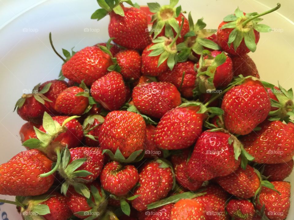 Home grown strawberries 