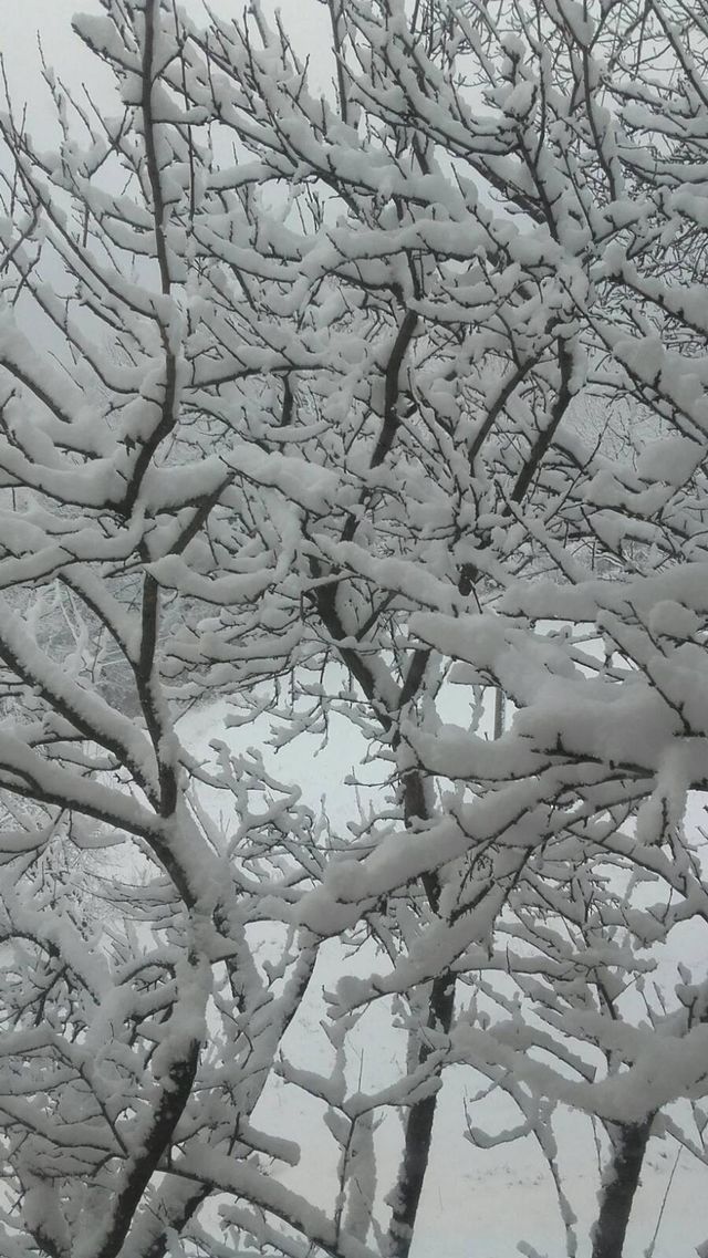 Winter is coming