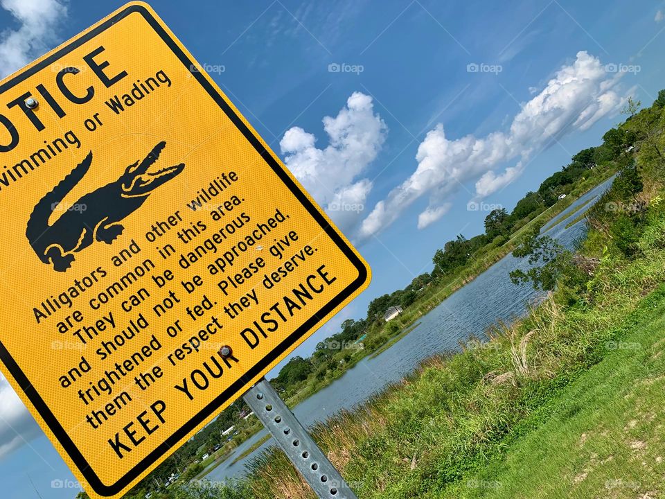 Yellow Sign Of Warning For Being Cautious About Alligators In The Stormwater Park By The Water.