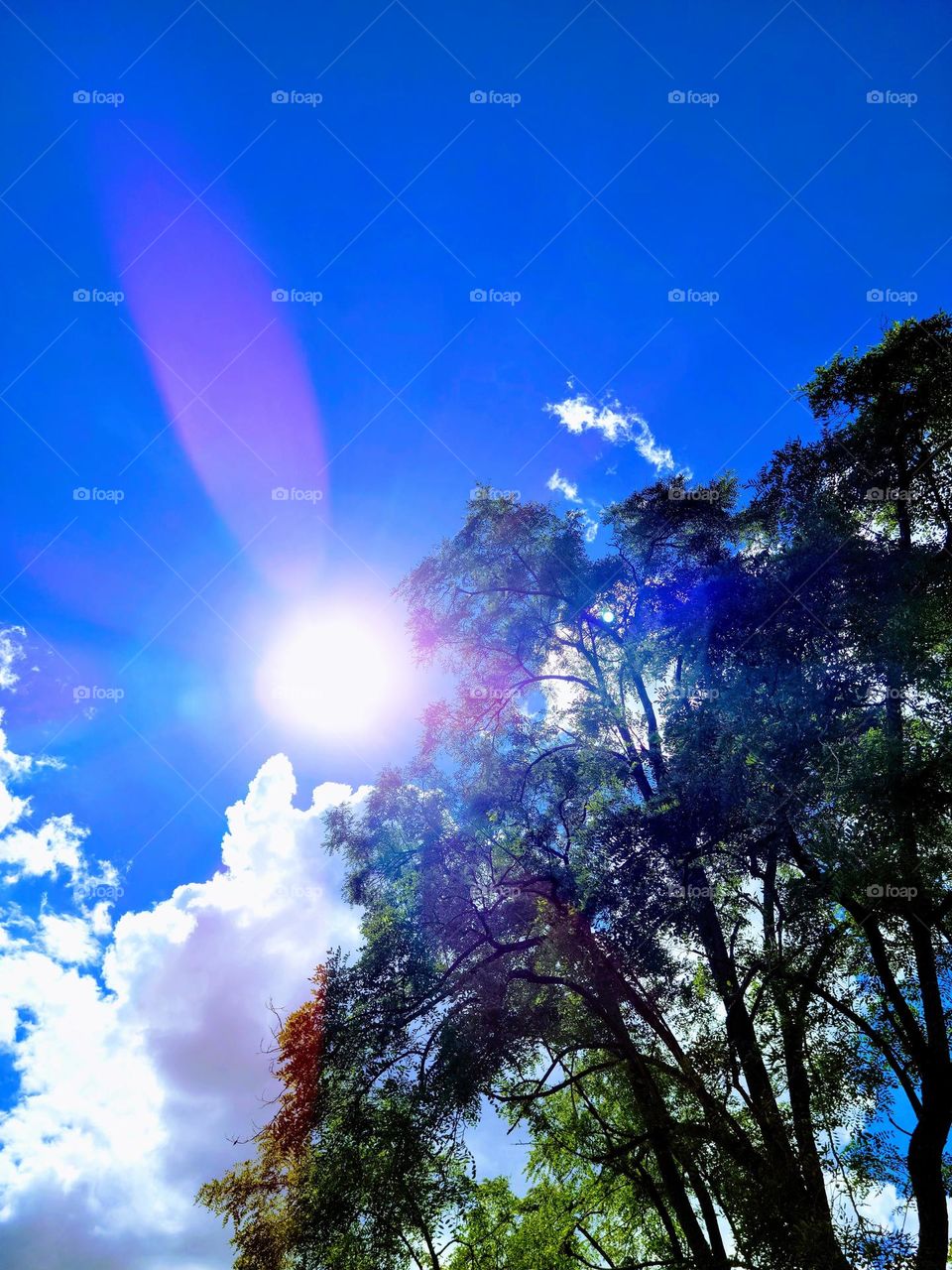 Living Light Codes 1