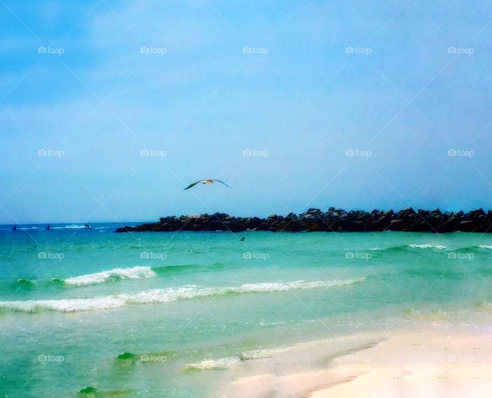 Shell Island Panama City Beach Florida 