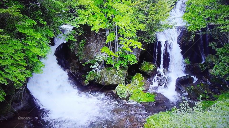 Water, Waterfall, Nature, Stream, River