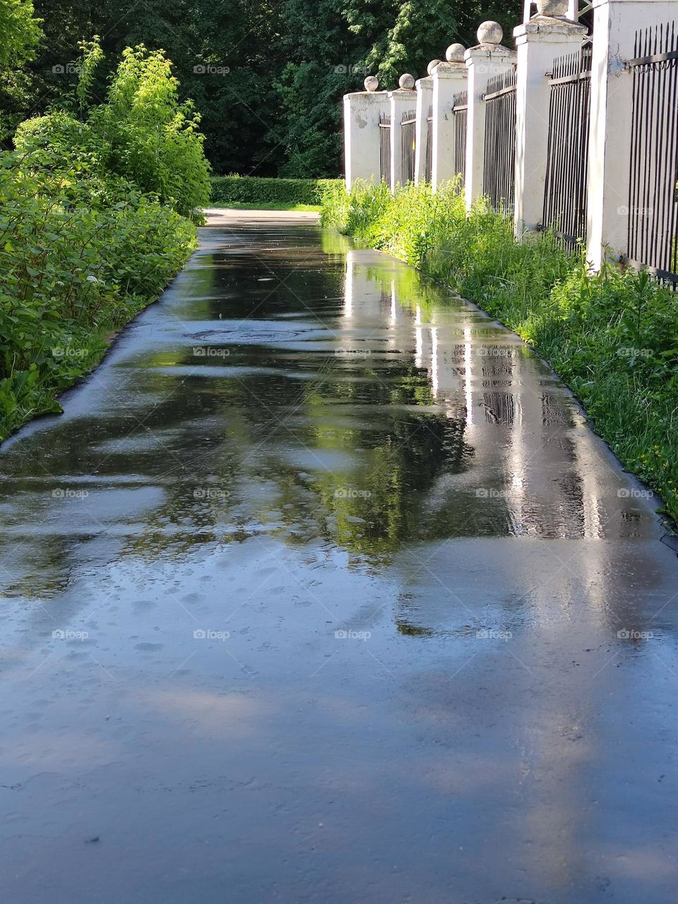 Road in the park. Green trees on one side, white stone fence with white stone balls on the opposite side. Green trees, a white fence and a blue sky are reflected on the wet pavement.