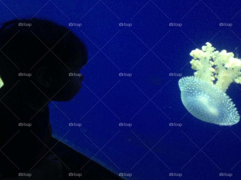 Boy watching a jellyfish at the aquarium.