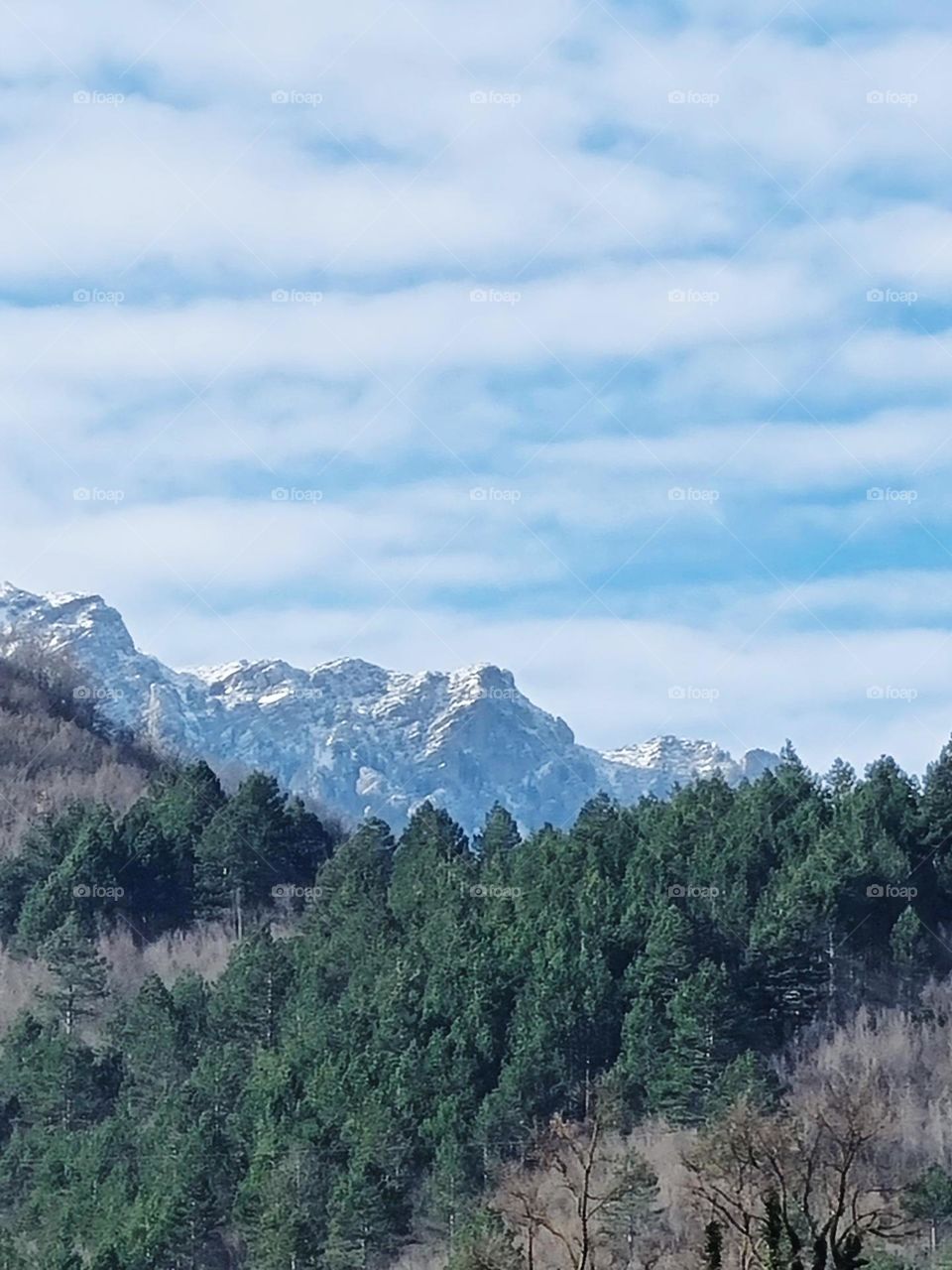 the tops of the mountains are in dense forests