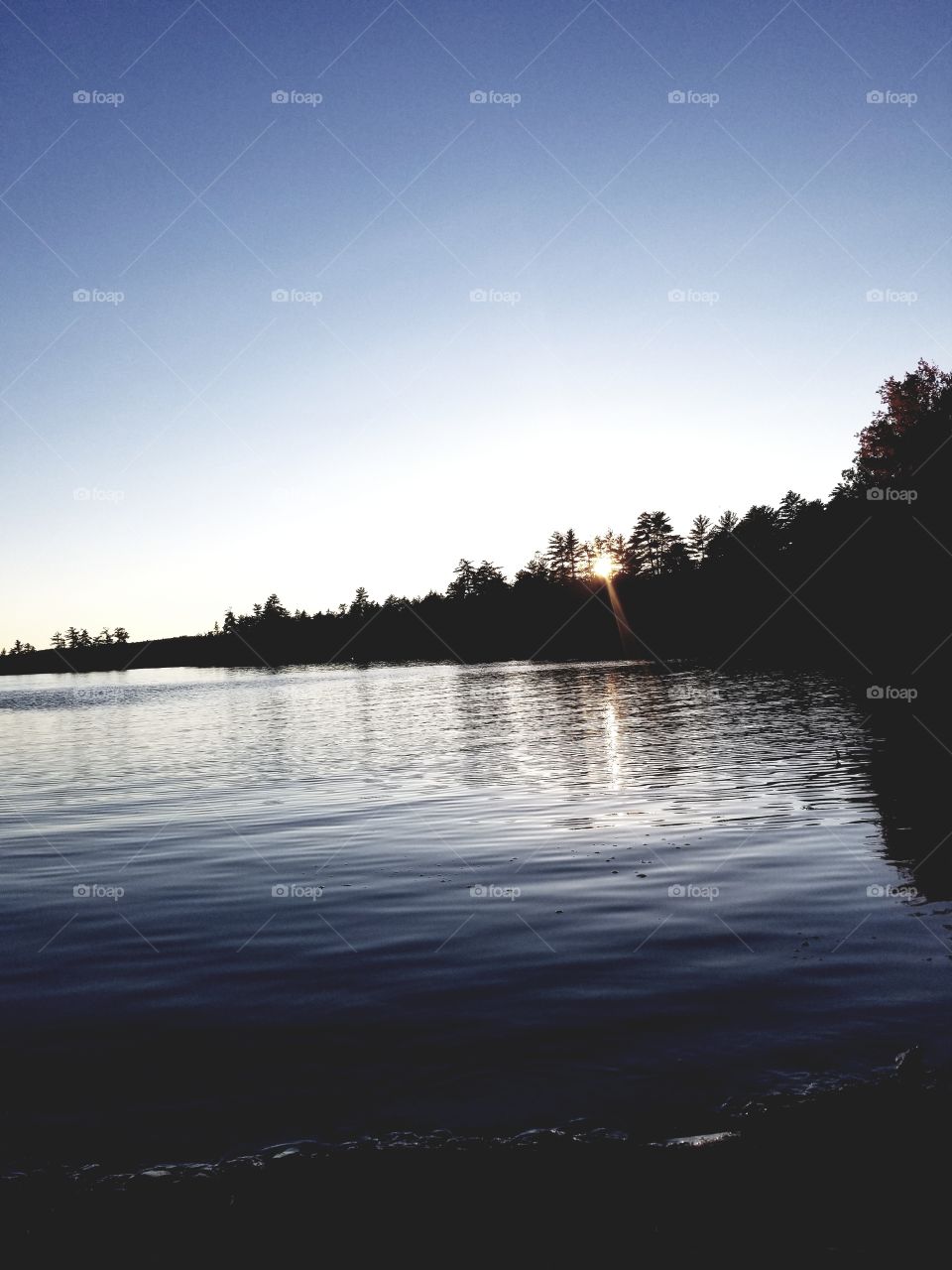 A Beautiful MiniHonk Day