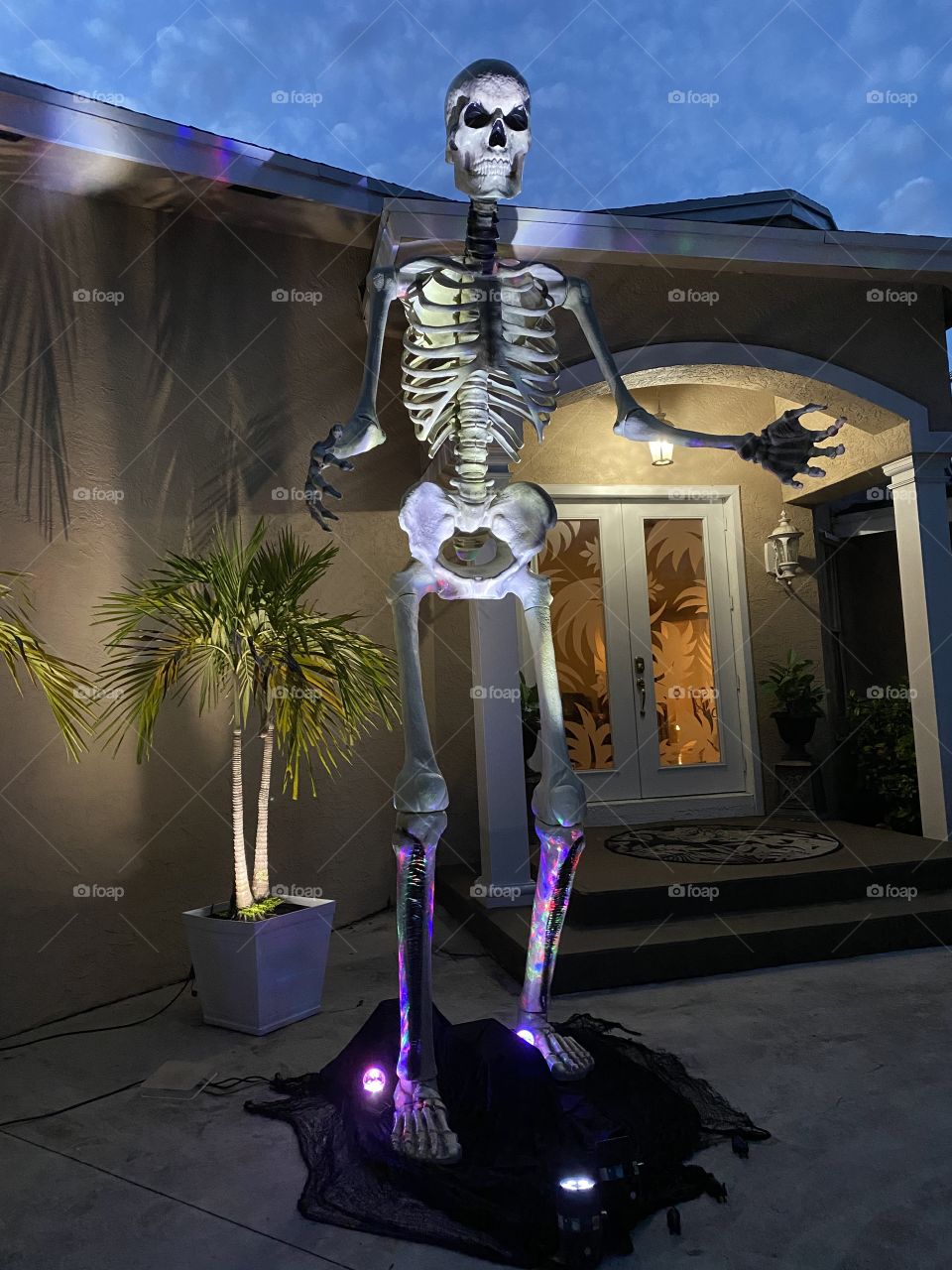 Giant Skelton 