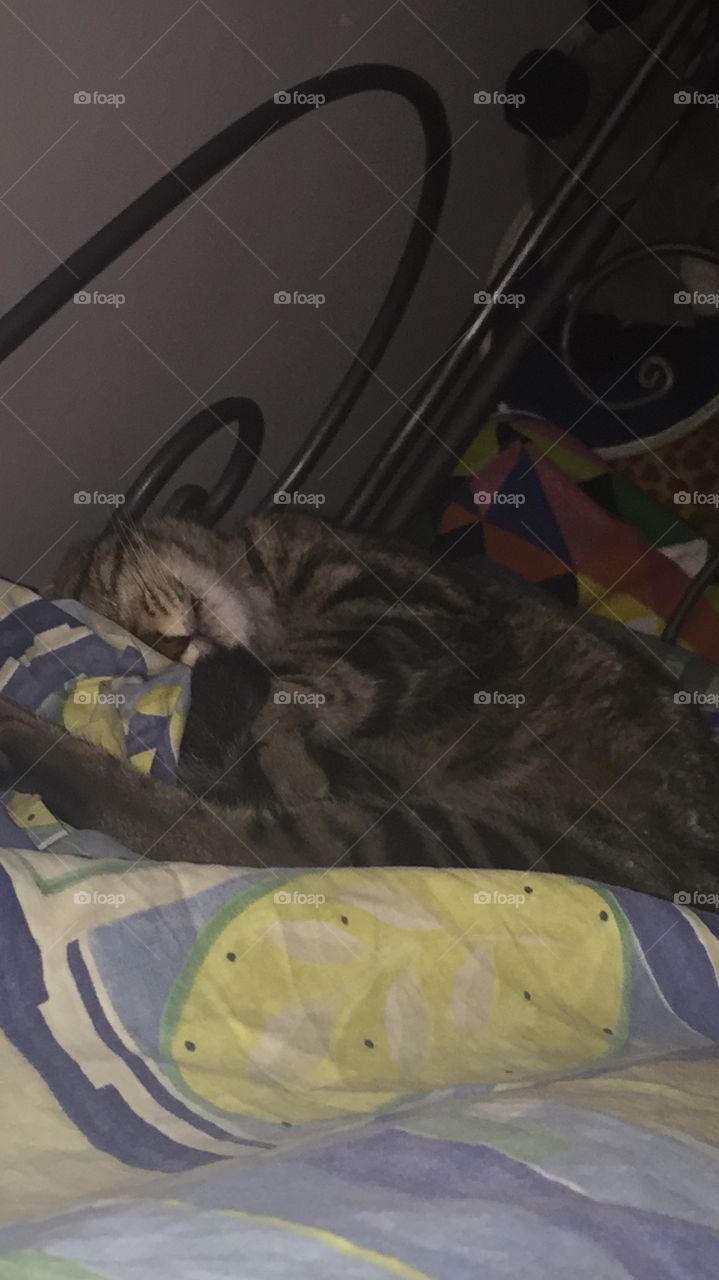 Sleeping and spleeping on the bed