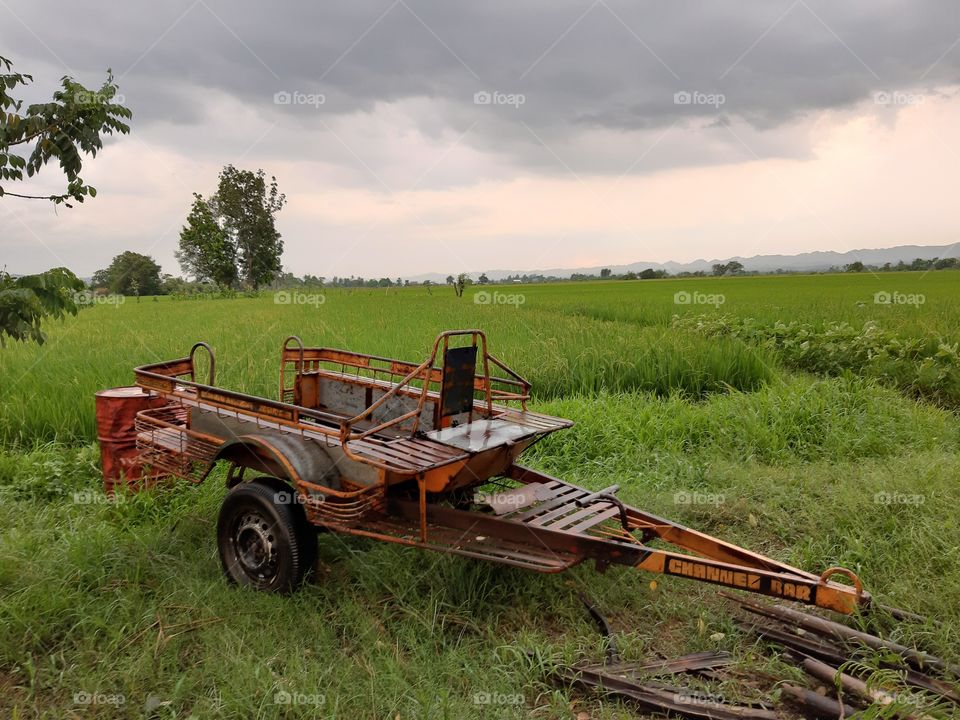 Life in the province