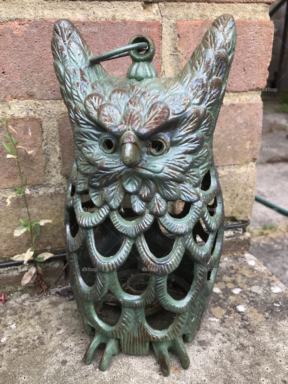 Owl lantern