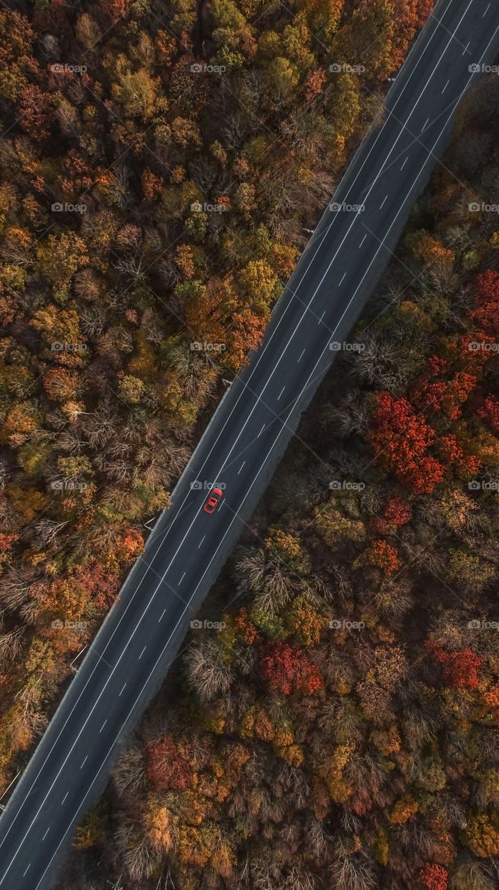 Red car on the road, that leads through the autumn forest. Top view