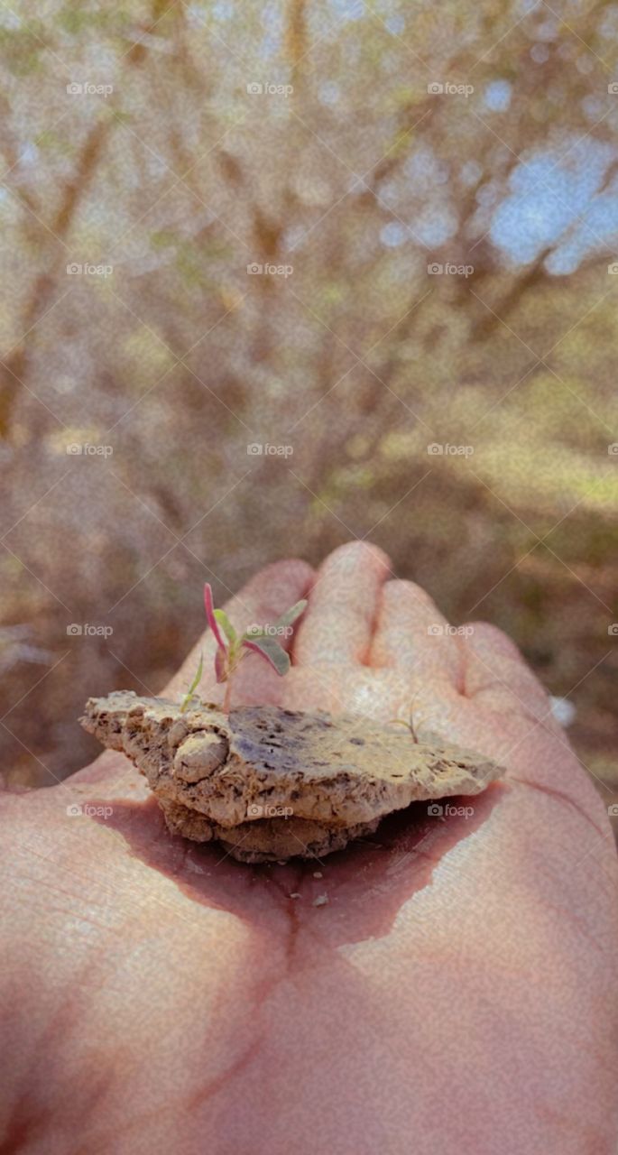 Beautiful day enjoy in my farms