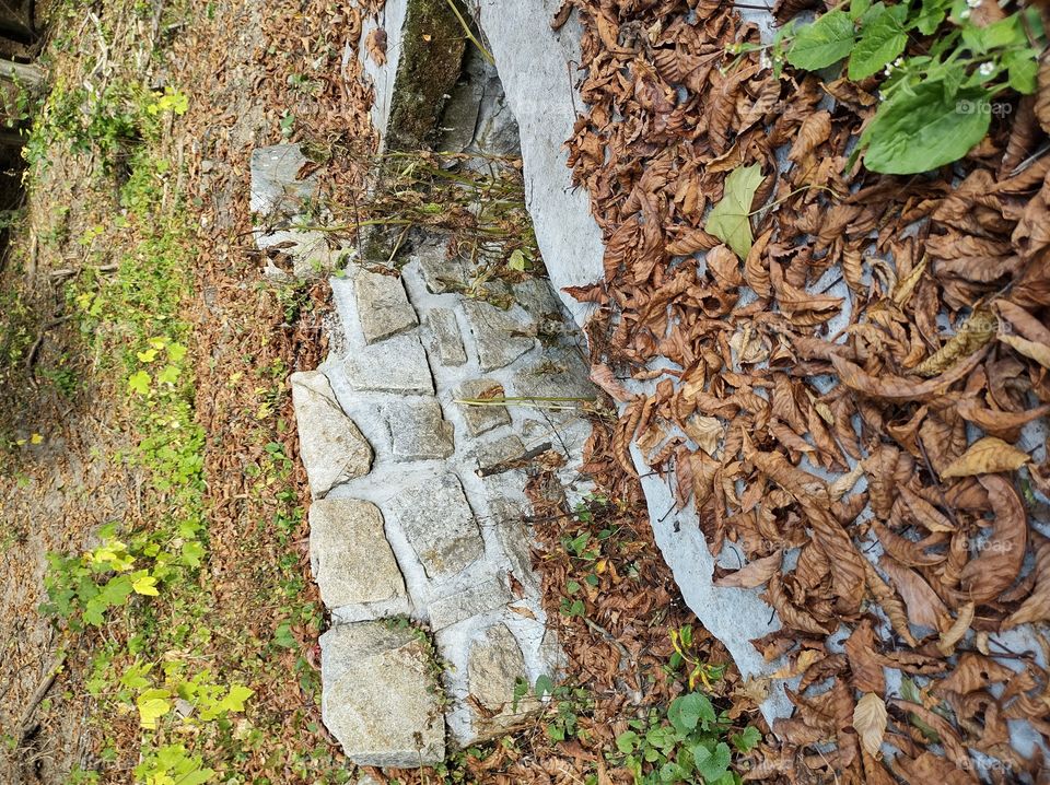 nature and architecture