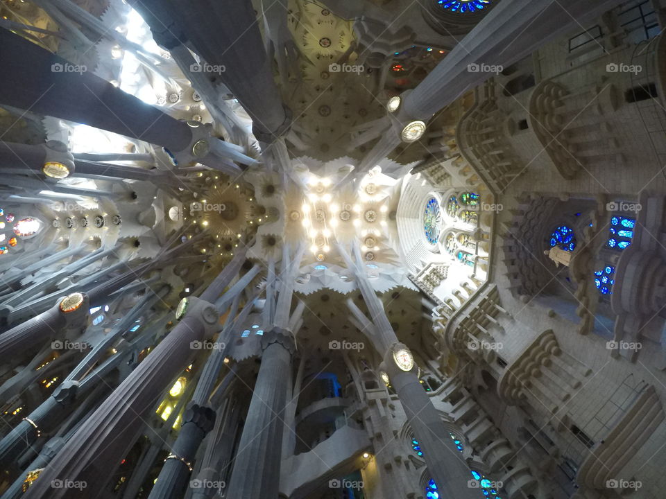 The alien appearance of the cathedral ceiling invokes many feelings amidst its viewers 