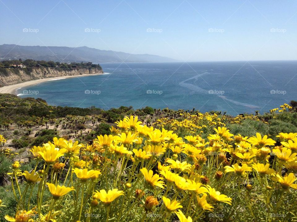 Malibu view