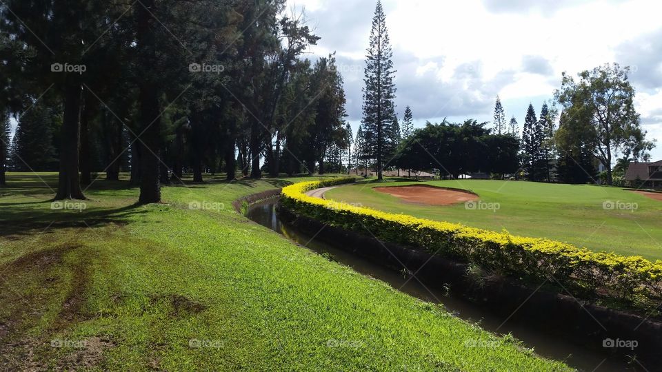Stream through a Golf Course. A steam meanders through a golf course in central Oahu.