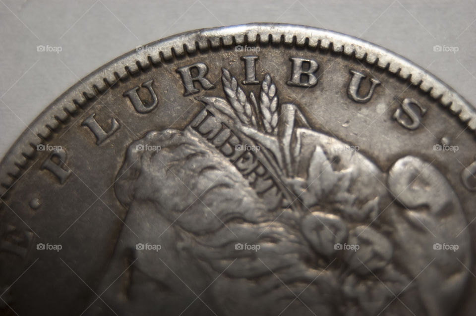 Silver dollar coin