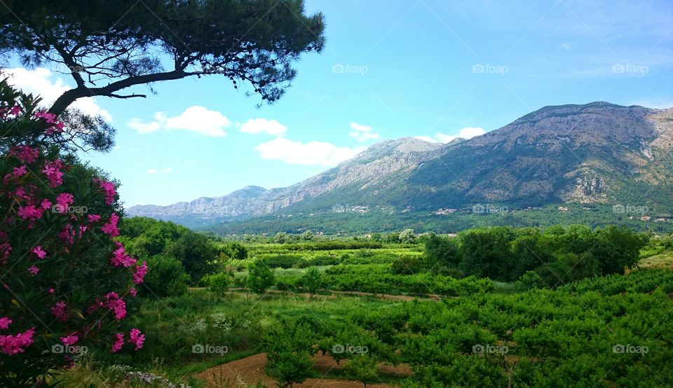 green valley . green valley in southern europe 