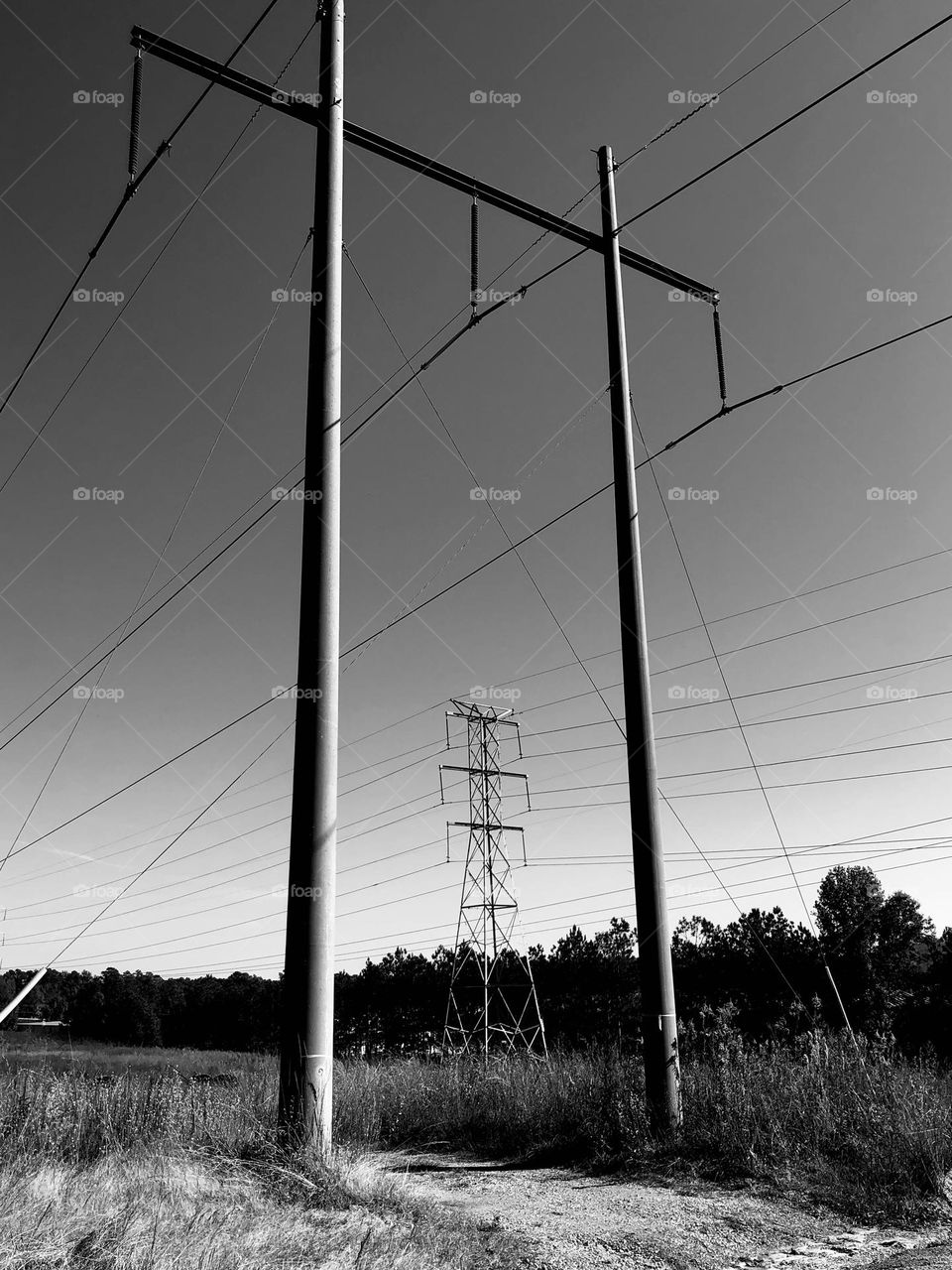 Power lines and poles reaching a monochromatic sky