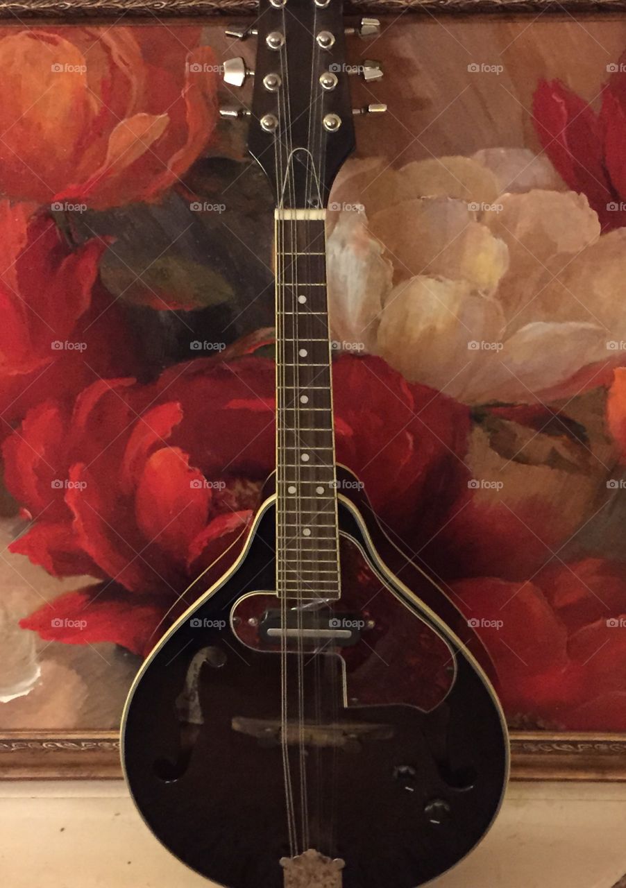 Mandolin with background of flowers.