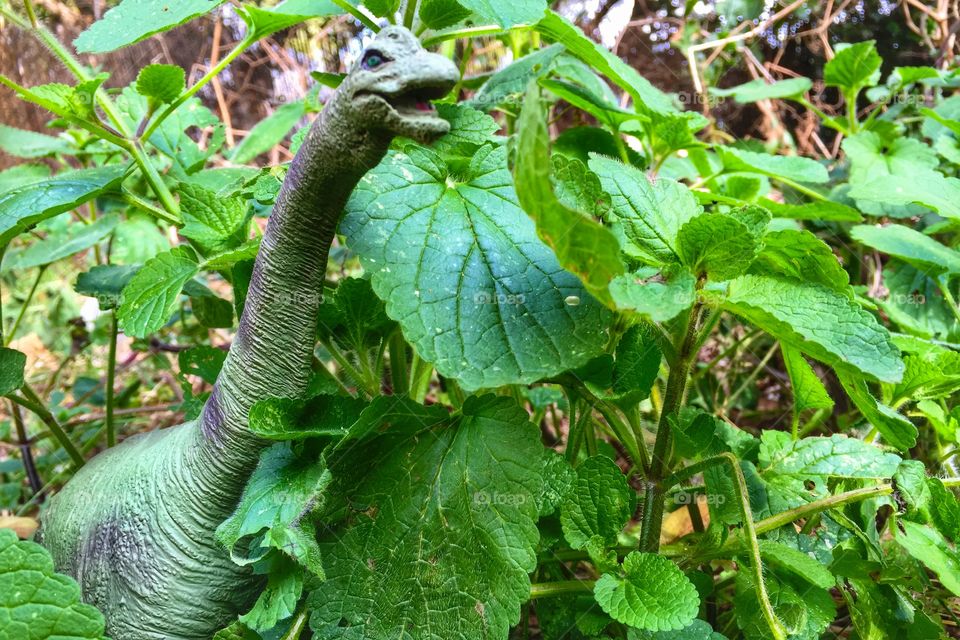 Dinosaur in the grass 