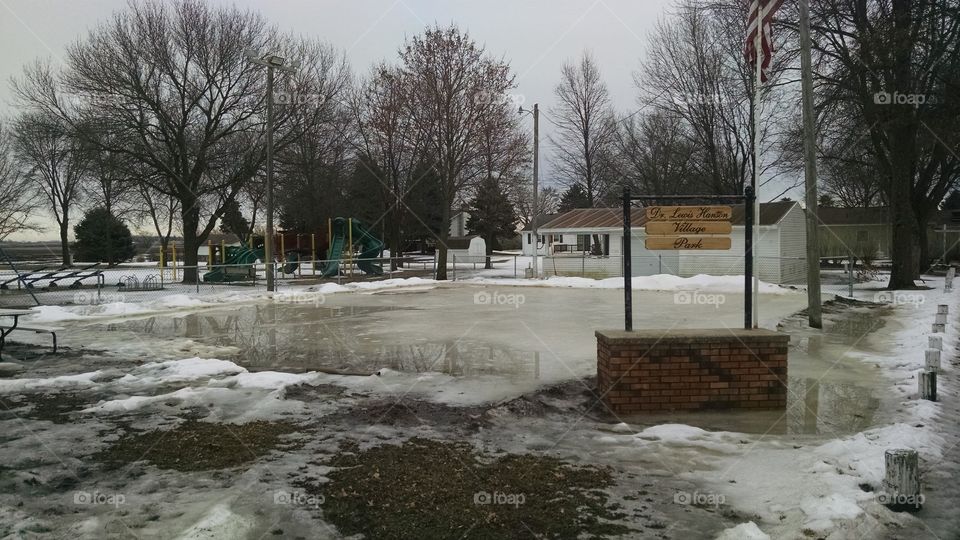 Flood, Winter, Calamity, Storm, Tree