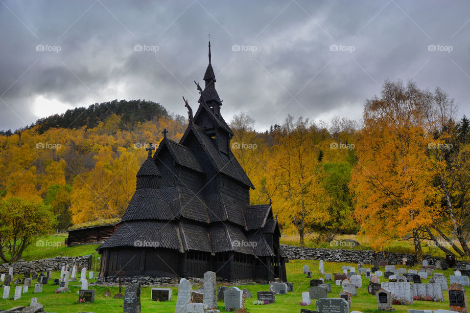 Autumn at Borgund. Stunning autumn colours behind Borgund stave church, Norway