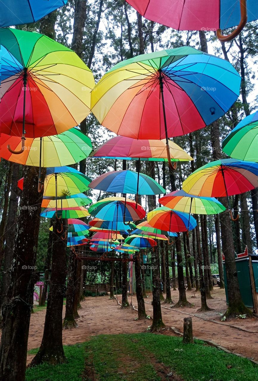 Corridor of colorful umbrellas in a park, diversity