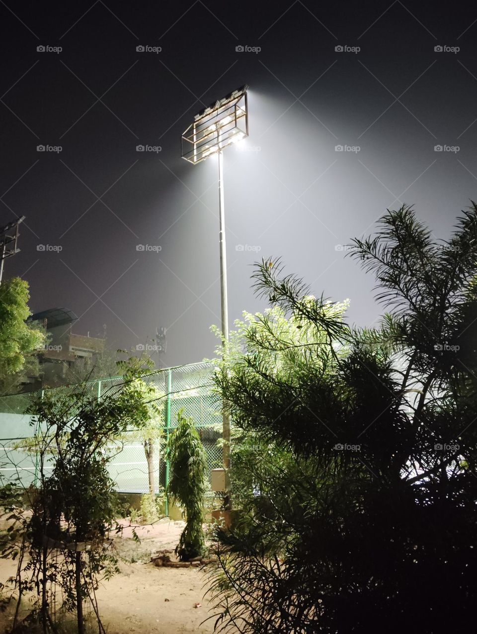 night scene, light on pole, green plant shurb small size looks very beautiful, good light effect