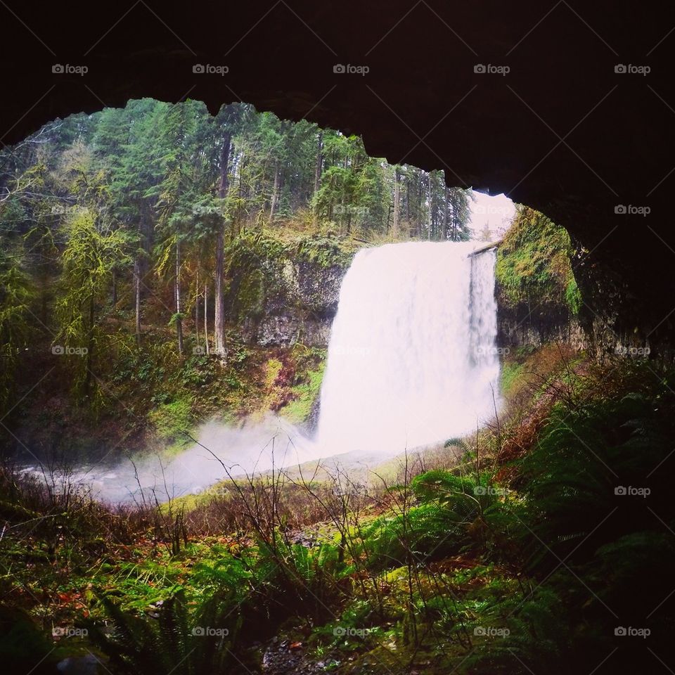 Waterfalls flowing in forest