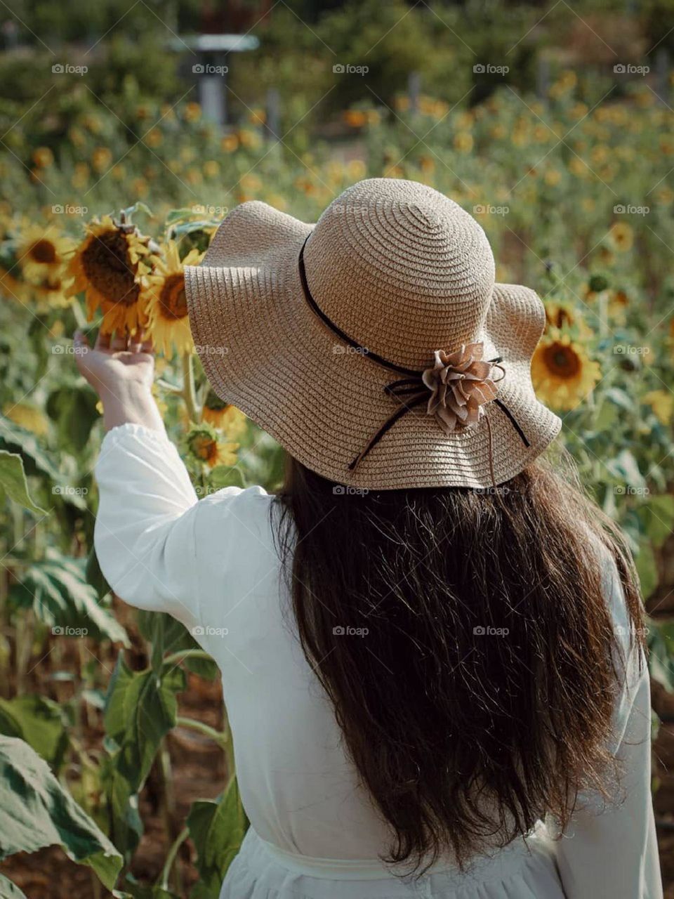 Always feel happy between sunflowers