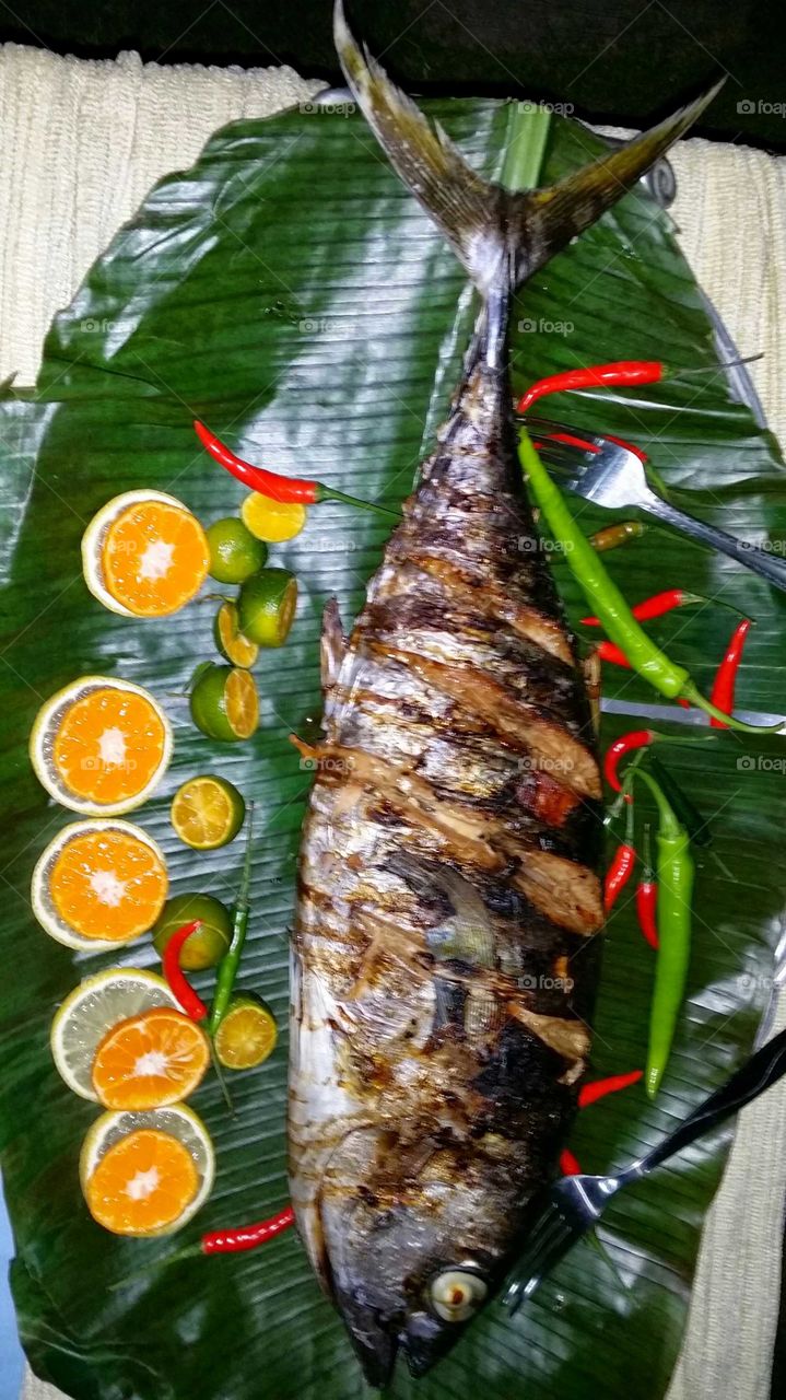 Grilled freshly caught baby yellow fin tuna...