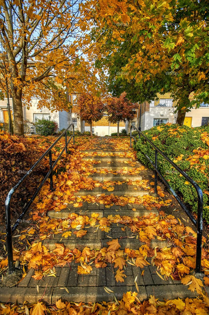 Autumn leafs on staircase