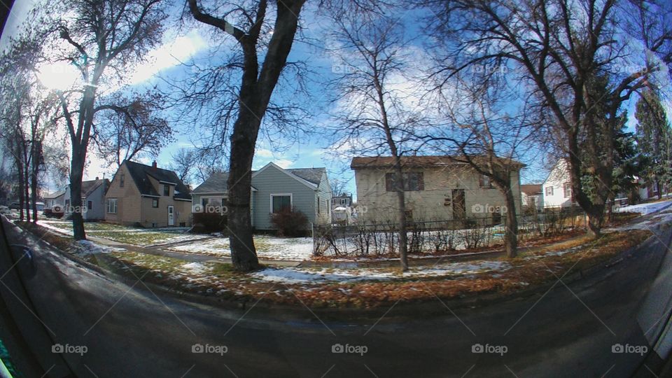 Flood, House, Home, Tree, Building