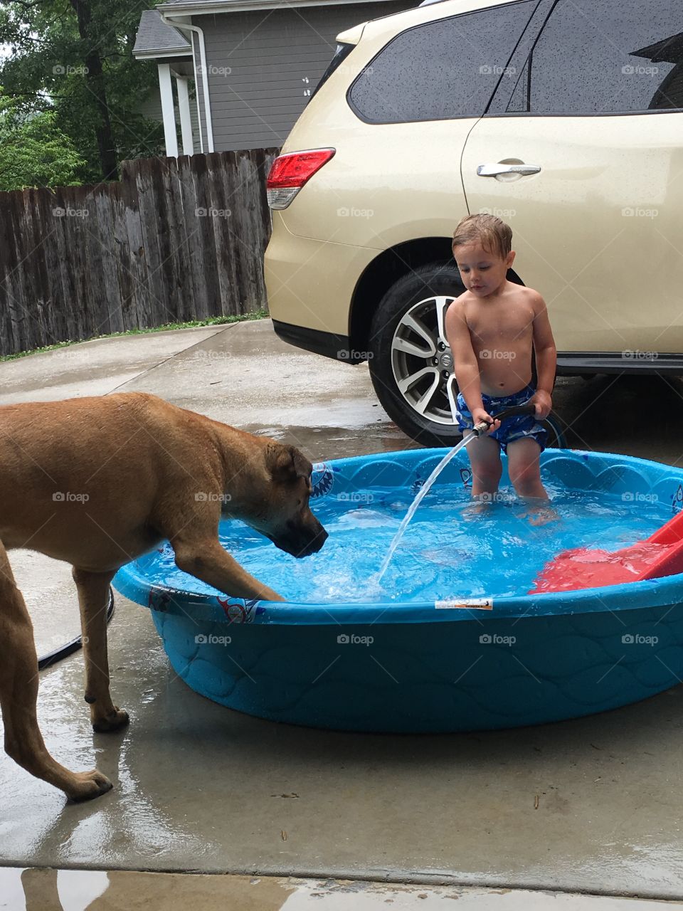 Young boy and his dog play in kiddie pool