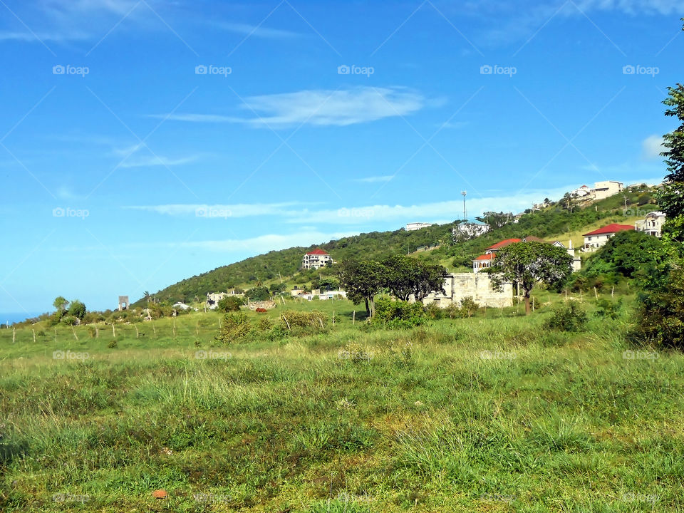 Countryside Landscape