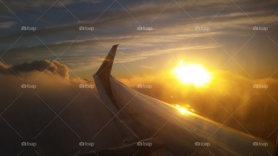 Sun Against The Wing