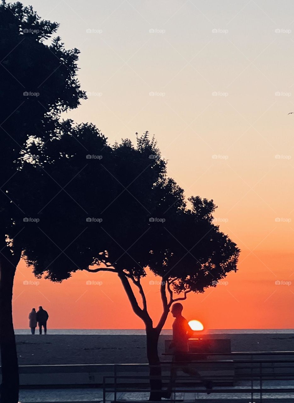 Runner in the sunset