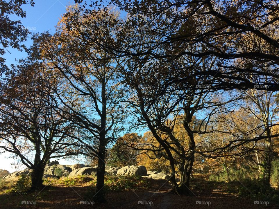 On our way on an adventure in Tunbridge Wells