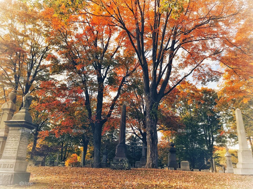 Mountain Grove Cemetery 