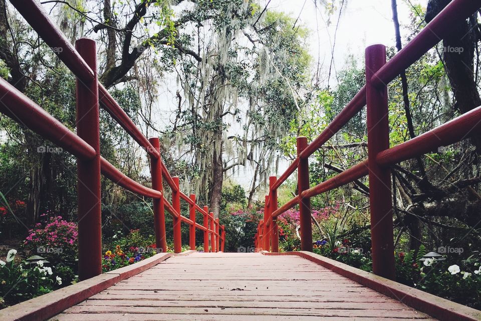 Zen Bridge. Red foot bridge