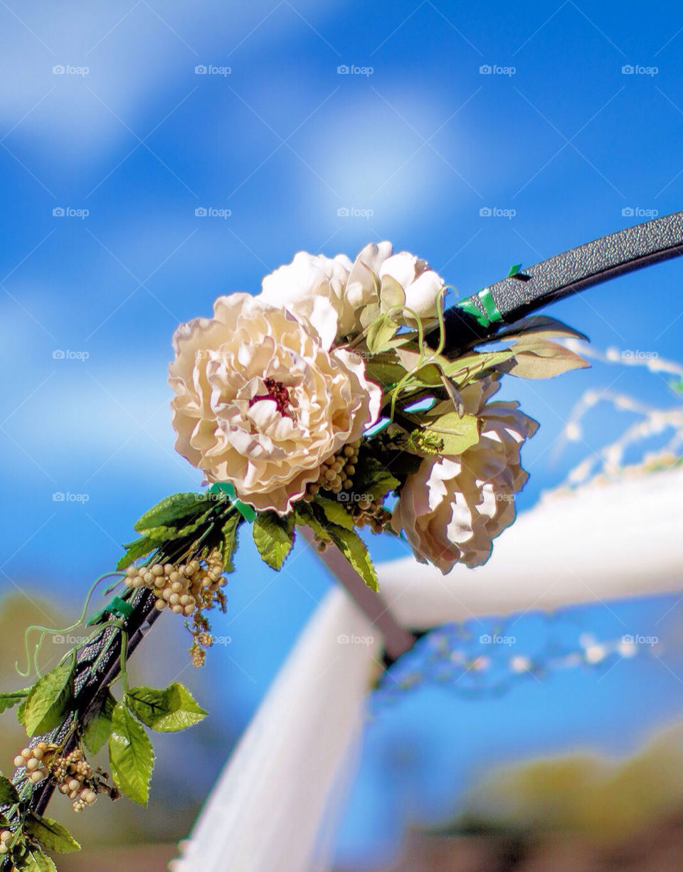sky flower blue wedding by darrellperry